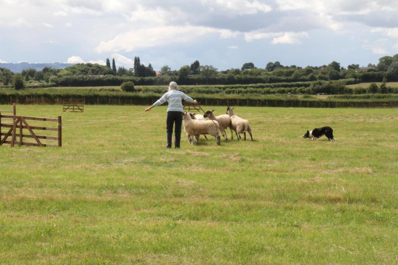 Church Farm Stratford-upon-Avon Extérieur photo